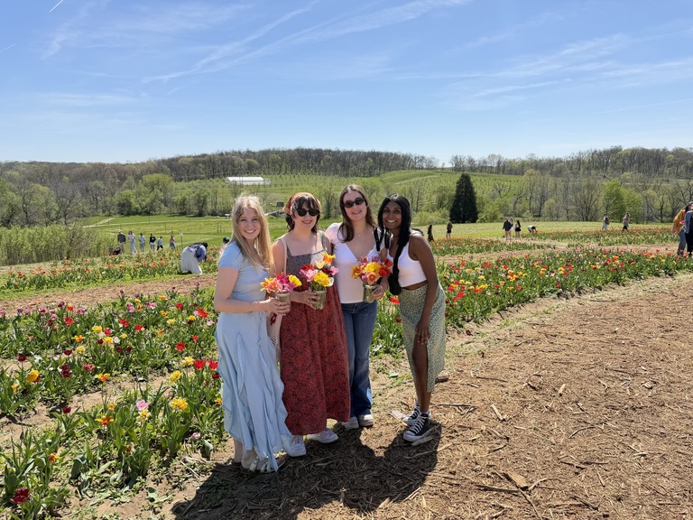 Wilson's Tulip Festival - April 2026